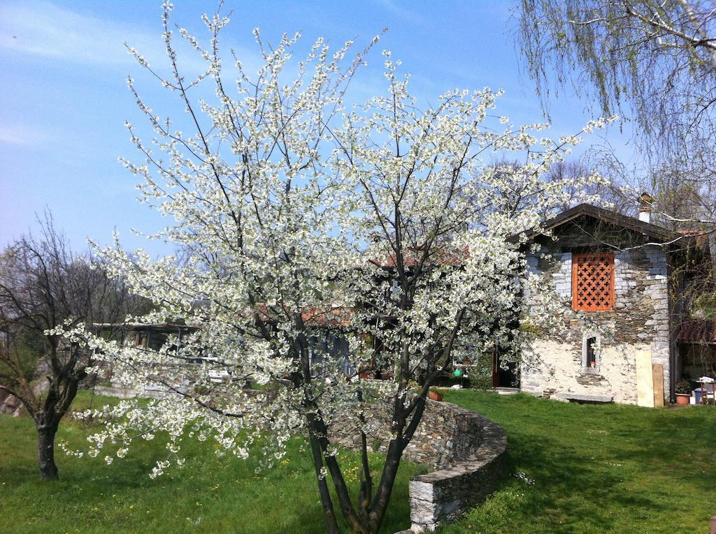 Il Ciliegio Selvatico Daire Verbania Dış mekan fotoğraf