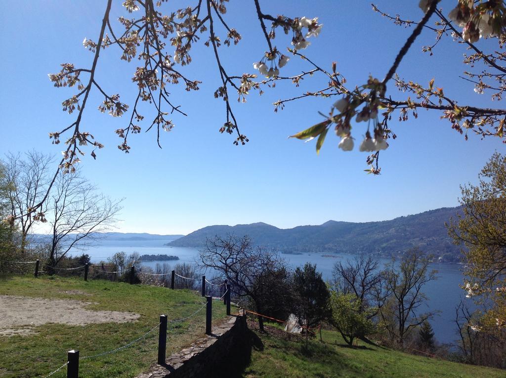 Il Ciliegio Selvatico Daire Verbania Dış mekan fotoğraf